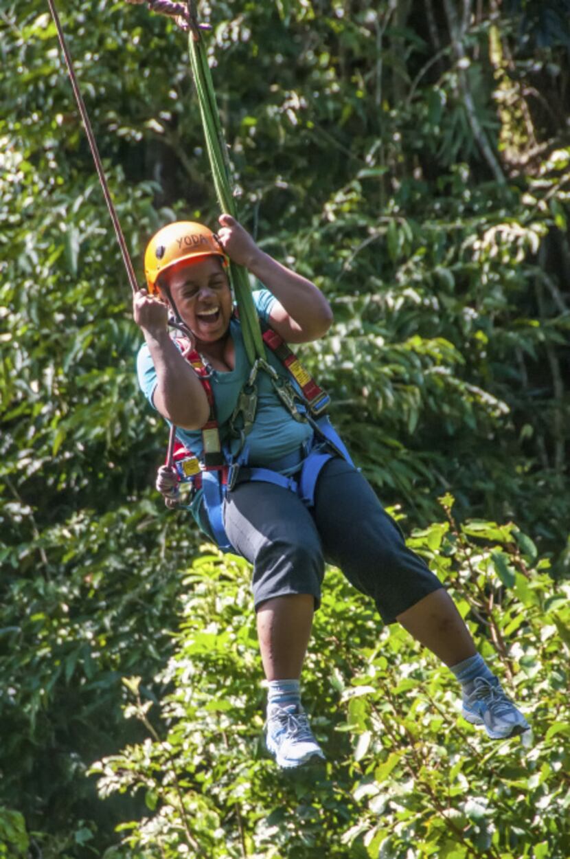 A visitor plays Tarzan, zipping from tree to tree through the rainforest on a Jungle Surfing...