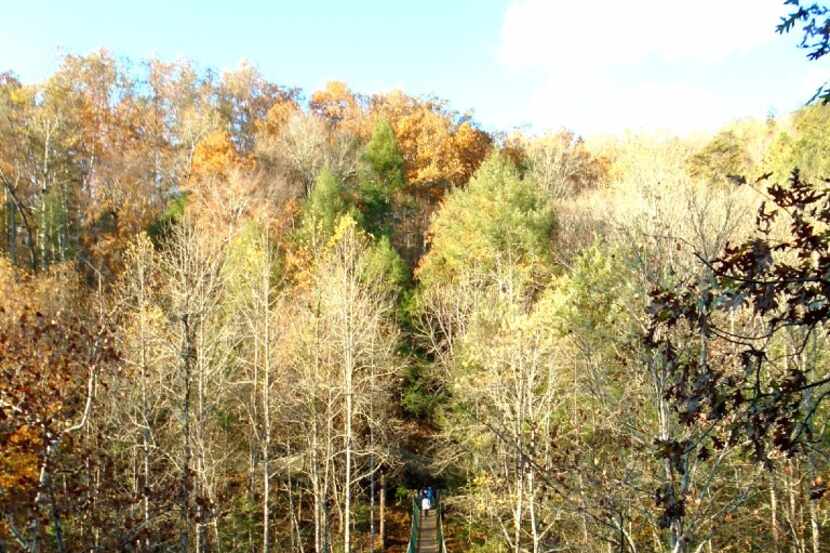 At Foxfire Mountain Adventure Park, tucked in the mountains near Sevierville, zip over...