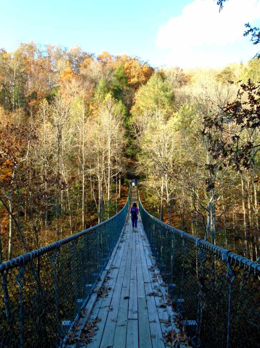 At Foxfire Mountain Adventure Park, tucked in the mountains near Sevierville, zip over...