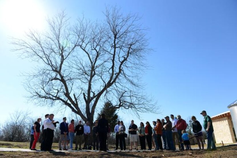 
Members of TXU Energy, the city of Coppell, the Coppell Chamber of Commerce and Friends of...