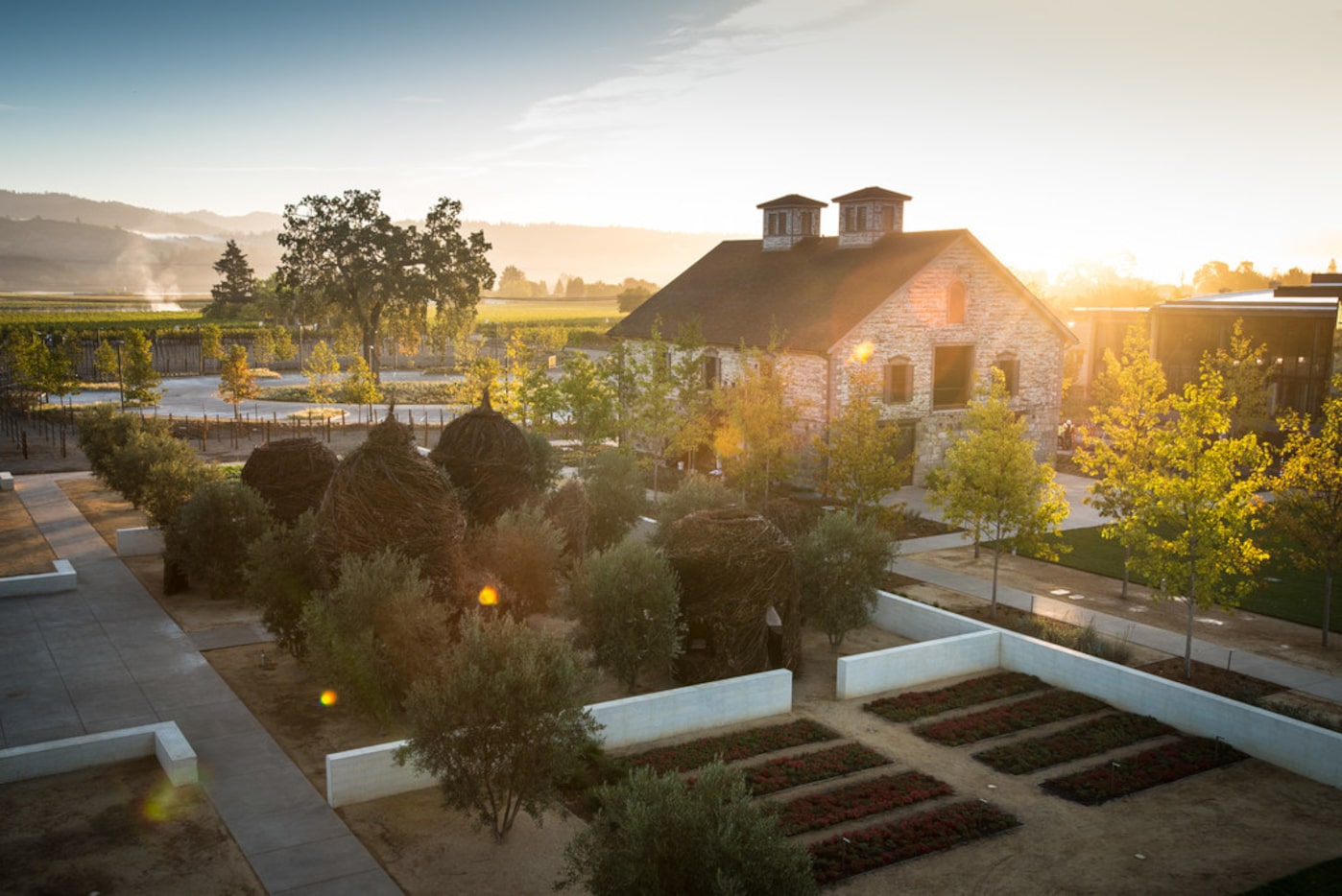 Craig and Kathryn Walt Hall own the Sonoma, St. Helena and Rutherford wineries in...