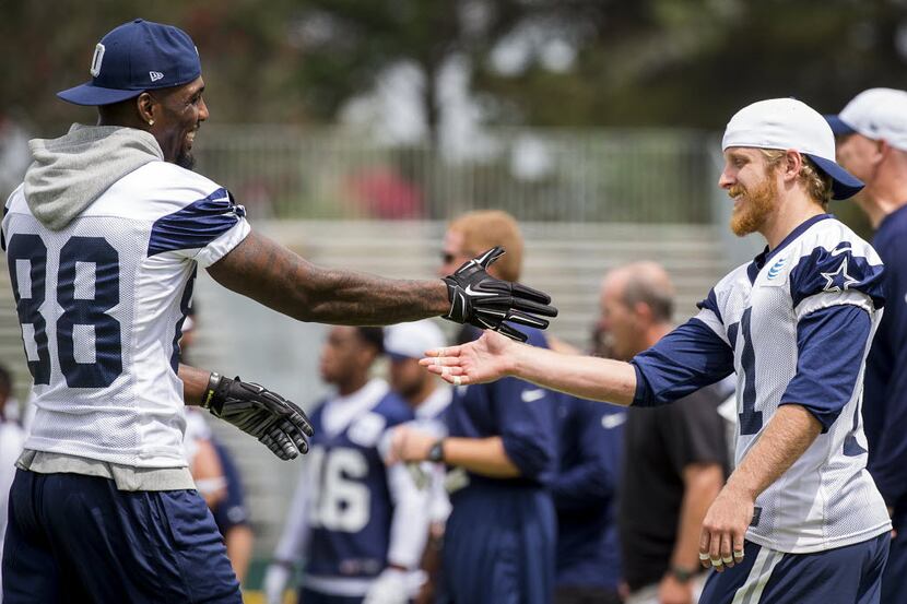 Dallas Cowboys wide receiver Dez Bryant (88) shakes hands with fellow wide receiver Cole...