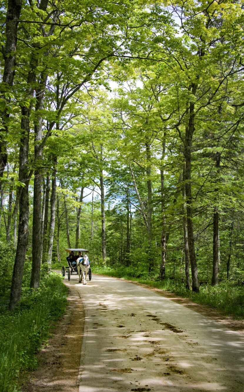 No cars are allowed on Mackinac Island, so horse-drawn carriages provide the transportation.
