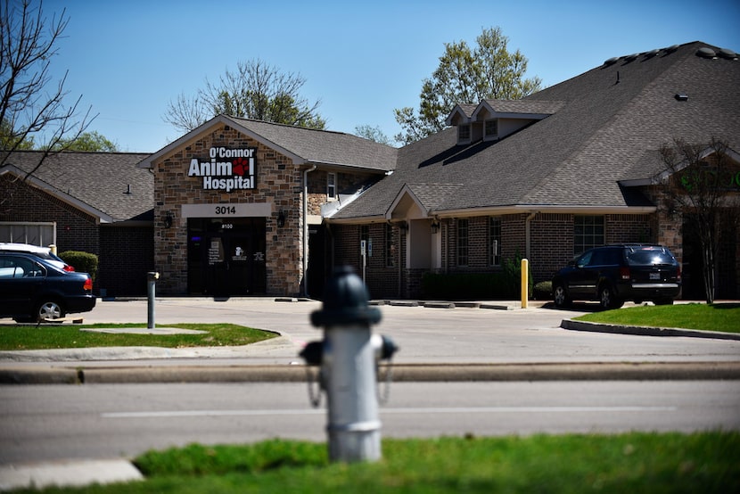 This is the front of the O'Connor Animal Hospital in Irving, where a woman was mauled to...