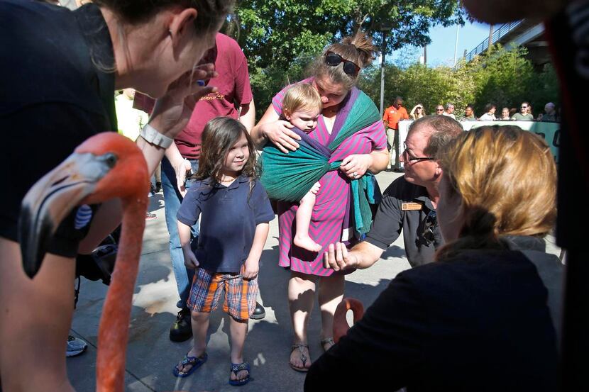
Four-year-old Zachariah Martin of Anna and his family were hailed for pushing the zoo past...