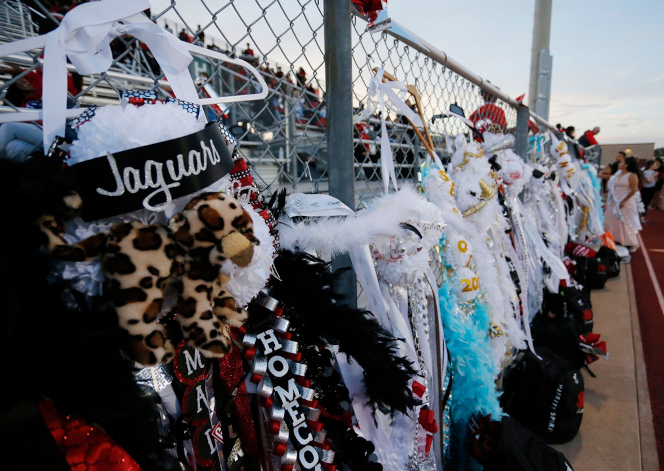 BIG mums hang on a fence in front of the Mesquite Horn stands before the start of the first...