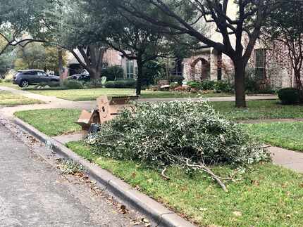 Brush and bulk trash sit out for pickup on Palo Pinto Avenue in East Dallas. (Claire...