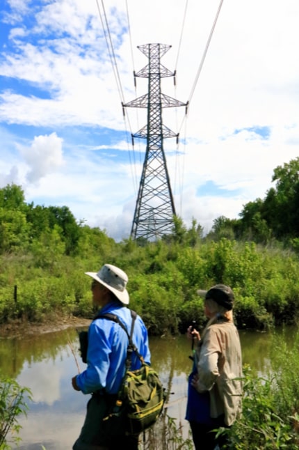 The author, Amy Martin, hikes with a friend after breaking a vertebra. 