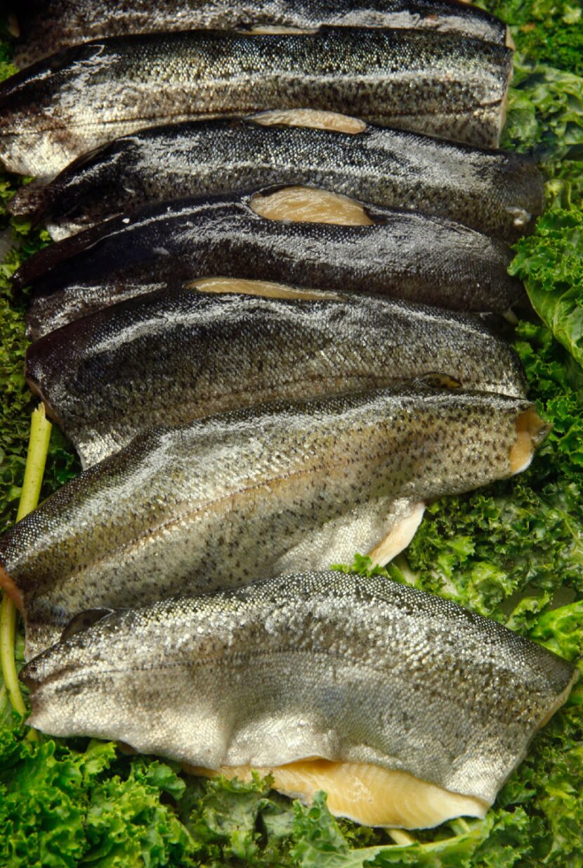 Idaho rainbow trout at TJ's Seafood Market and Grill in Dallas.