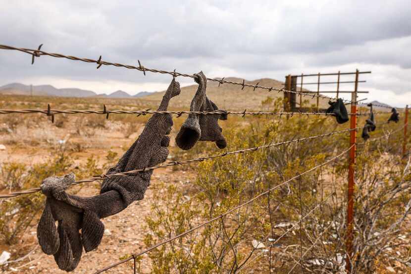 Several gloves for cold weather hung hooked on barbed wires that separate farmland near...