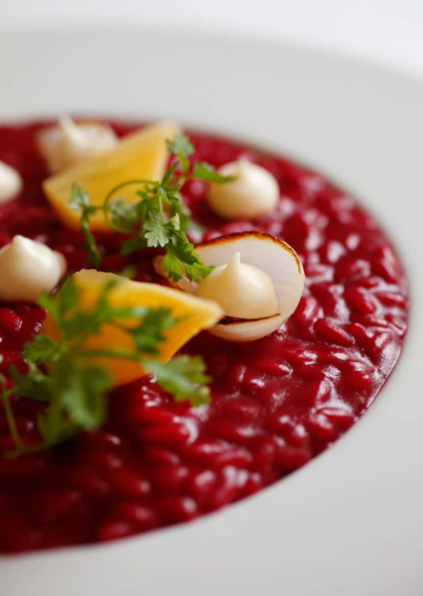 A starter of beet risotto with pearl onion petals and horseradish gel ($22)