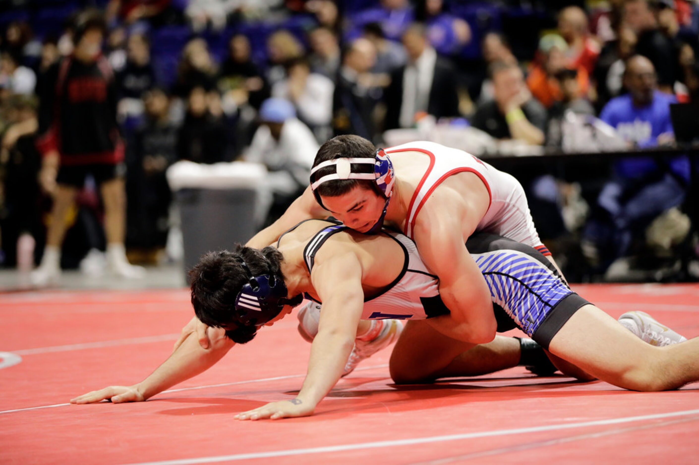 Mario Danzi of Allen wrestles during the UIL Texas State Wrestling Championships, Saturday,...