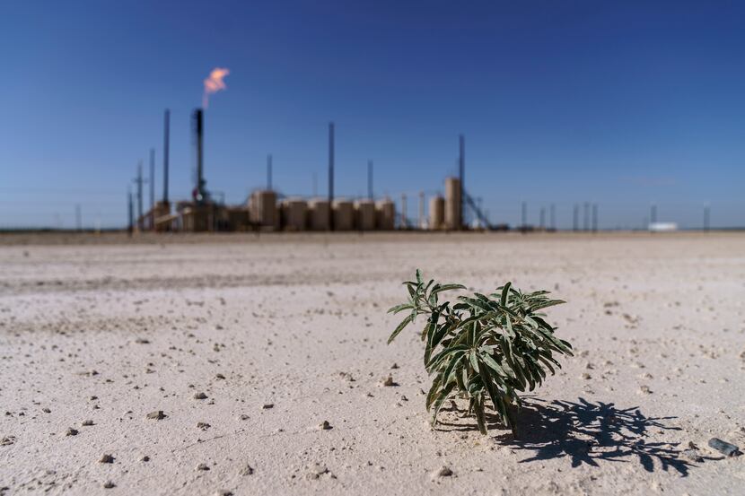 A lone plant grows from the dry soil next to a flare burning off methane and other...