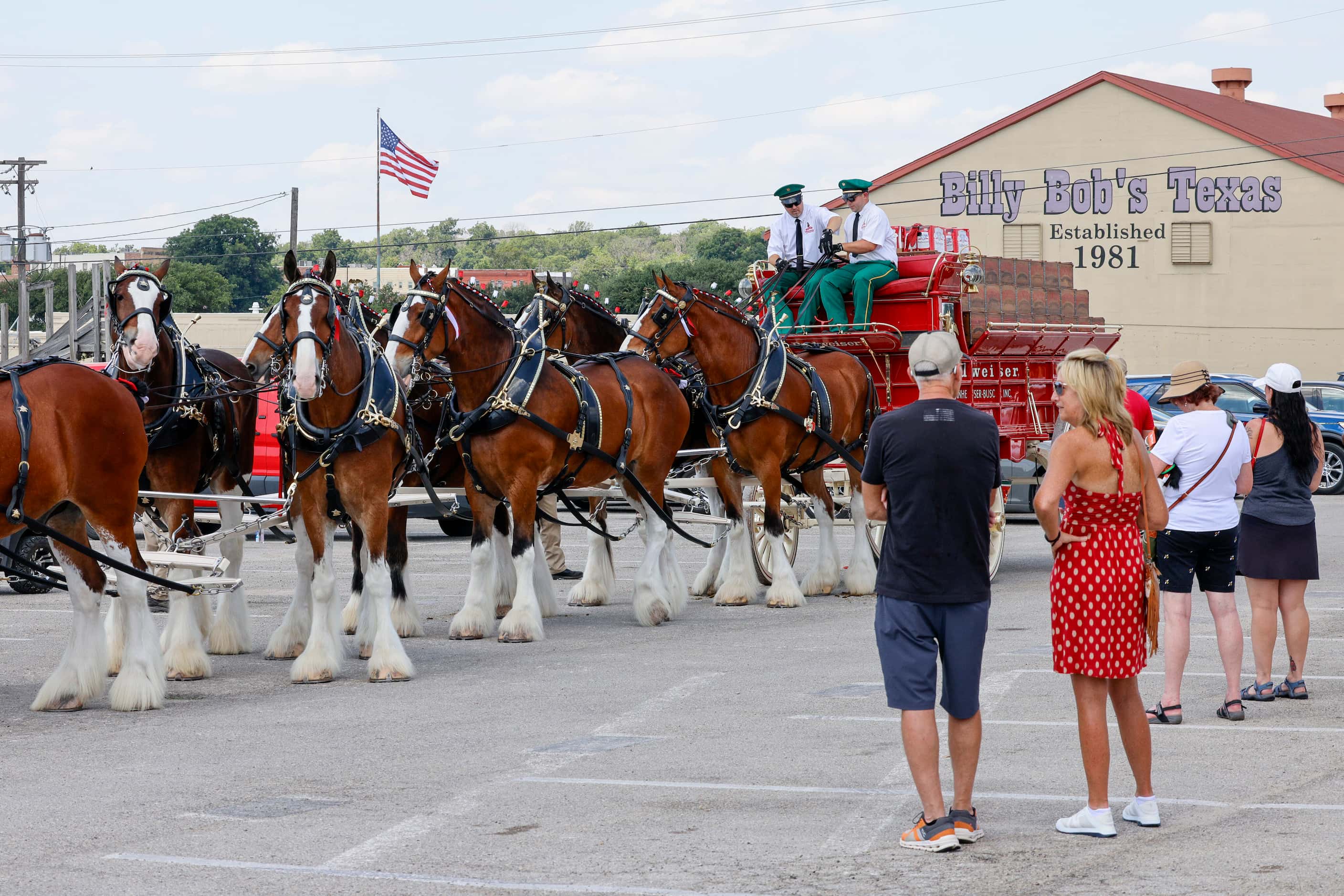 The Budweiser Clydesdales are seen near Billy Bob’s Texas in The Stockyards, Friday, July...