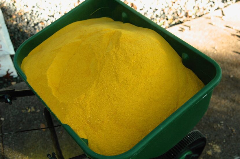 Corn gluten meal in meal form is most effective at controlling weeds, but it's dusty.