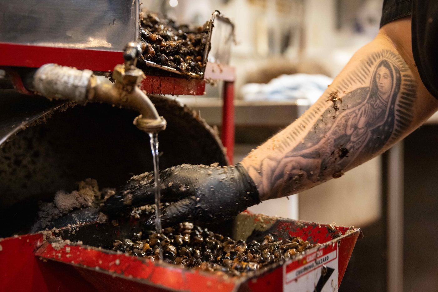 Maria Guadalupe Andrade uses the nixtamal mill to make masa at El Carlos Elegante in Dallas...