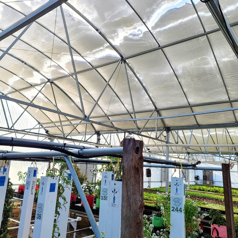 Snow covers a greenhouse at Profound Microfarms in Lucas.