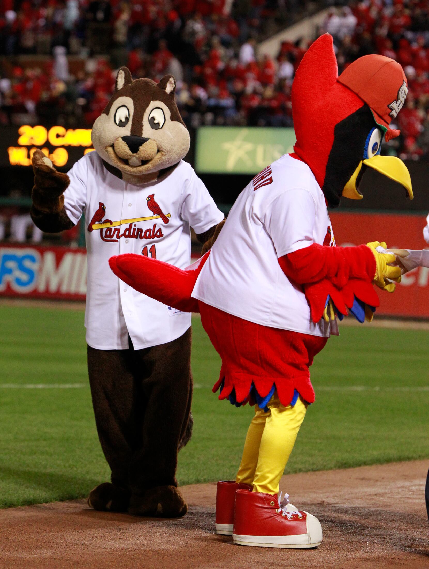 St. Louis Cardinals mascot Fredbird tips his cap as festivities