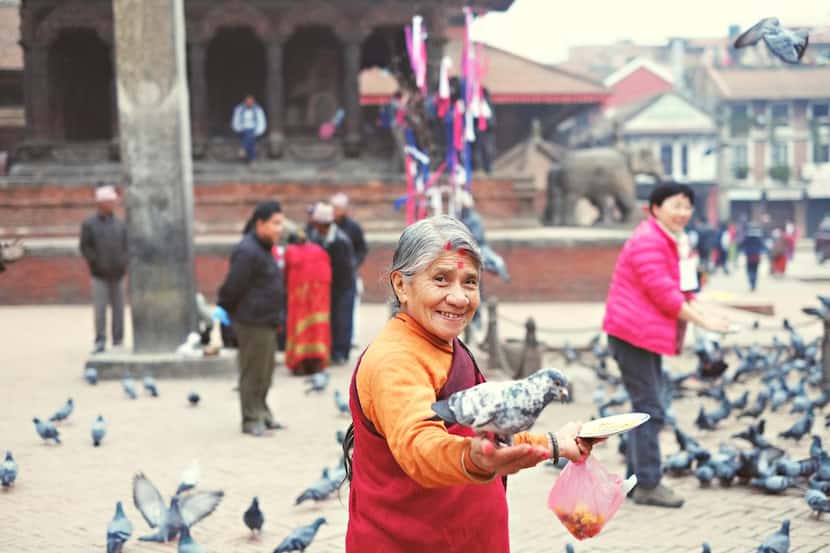
A resident holds a pigeon in March at Patan Durbar Square, six weeks before the earthquake...