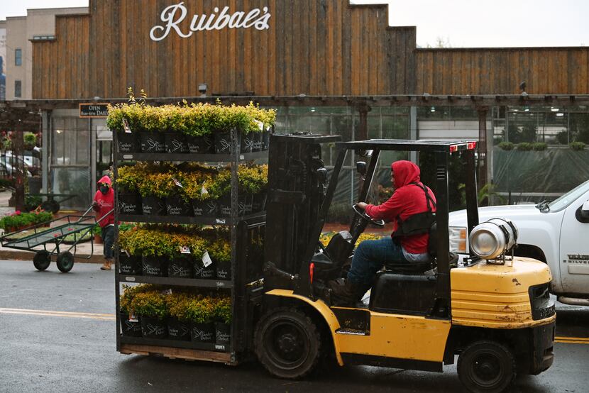 Nahin Sanchez uses a forklift to move fresh inventory at Ruibal's Plants of Texas on  March...