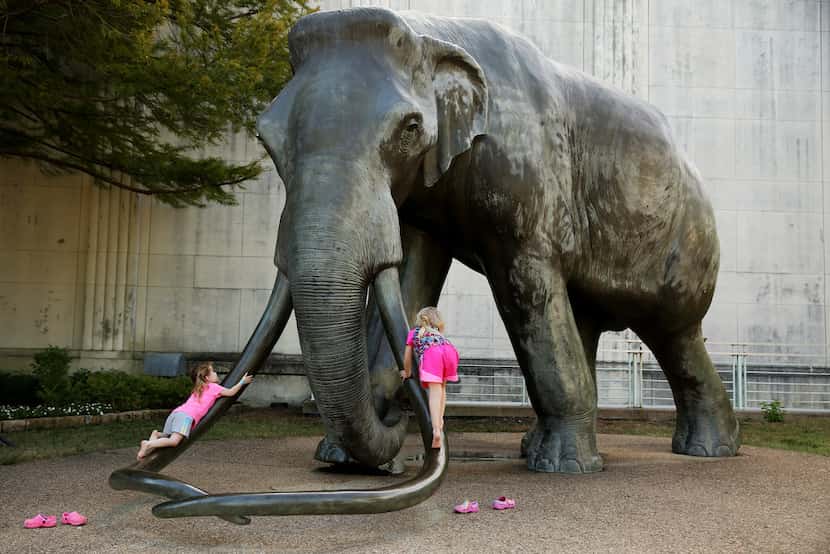Children climb the tusks of an elephant statue outside the Dallas Museum of Natural History...