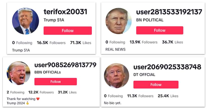 Trump was a focus of these TikTok accounts; several of the accounts used photos of the...