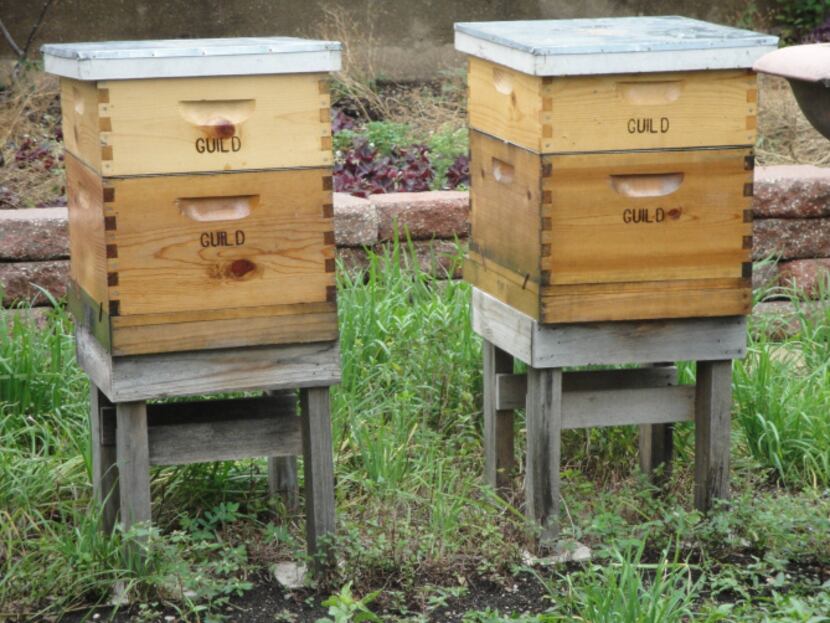 The Fairmont Dallas has a rooftop garden that includes beehives. Honey from the hives...