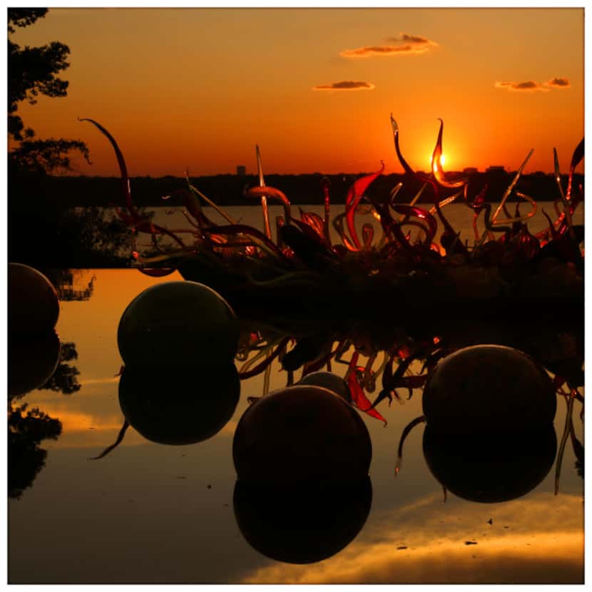 Chihuly's Carnival Boat is seen at sunset, at the Dallas Arboretum. Photographed with a...