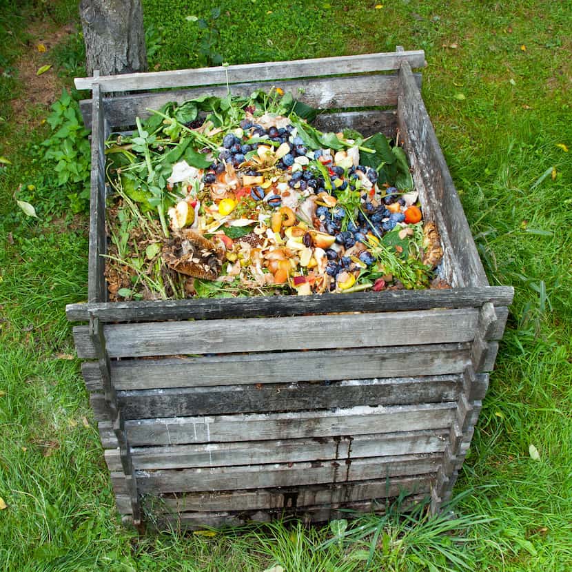 Compost bin in the garden. 
