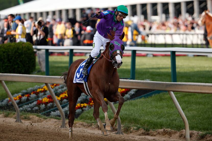 Victor Espinoza aboard California Chrome celebrates winning the 139th Preakness Stakes at...