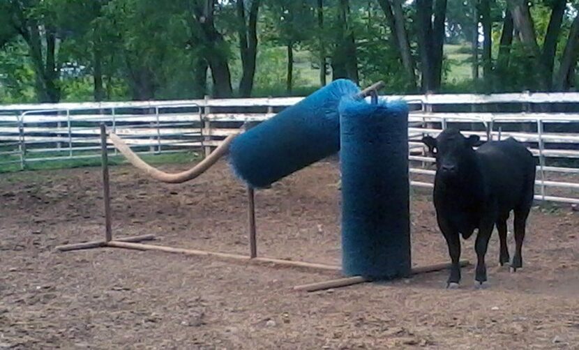 
Street-sweeper brushes are popular with ranchers as scratching poles for horses and...