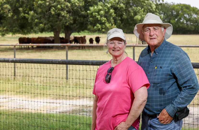 Karen (left) and David Thompson stand on their land in McKinney, where they live and care...