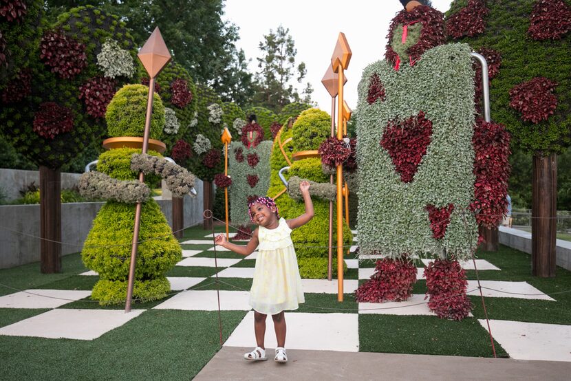 While not technically in Buckhead, the Atlanta Botanical Garden is close enough to warrant a...