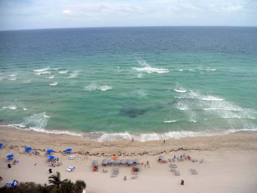 At the free-access beaches of Sunny Isles, Florida, the soft sand beckons sunbathers and the...