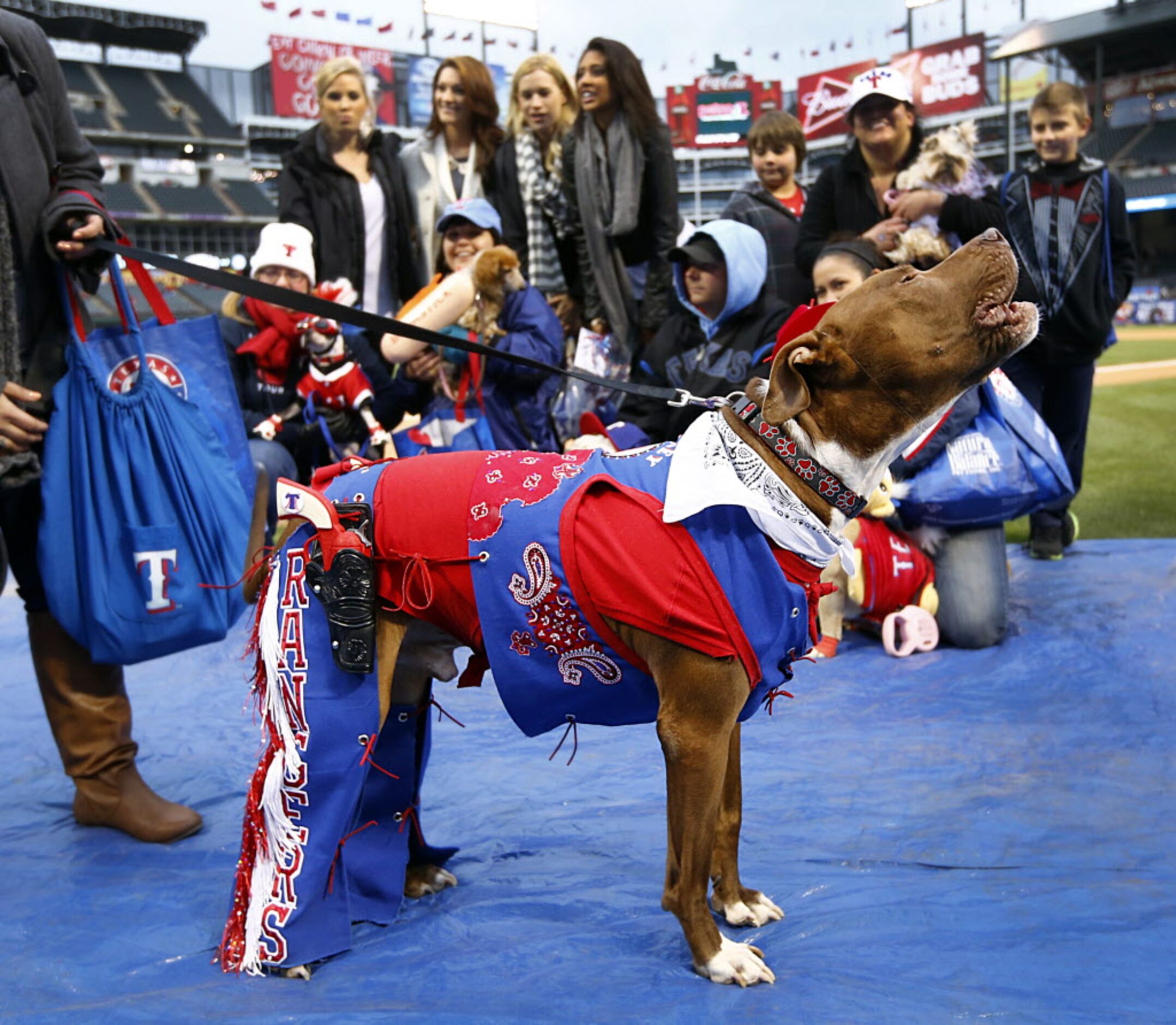 Ripley, a pit bull from Bedford, (and owner Becca Scannell) won the costume contest during...