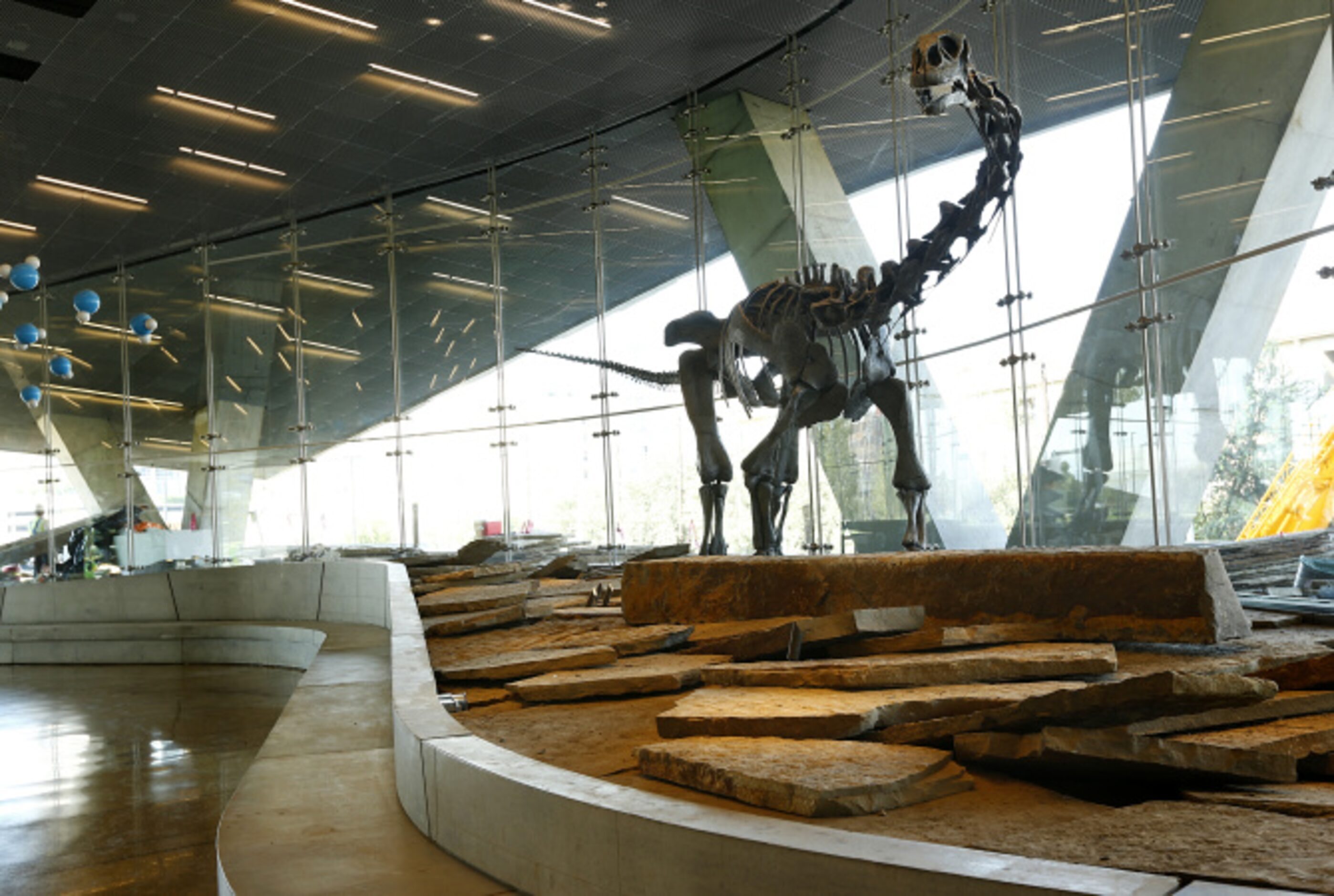 A 35-foot-long Malawisaurus skeleton greets visitors in the museum's lobby. The dinosaur...