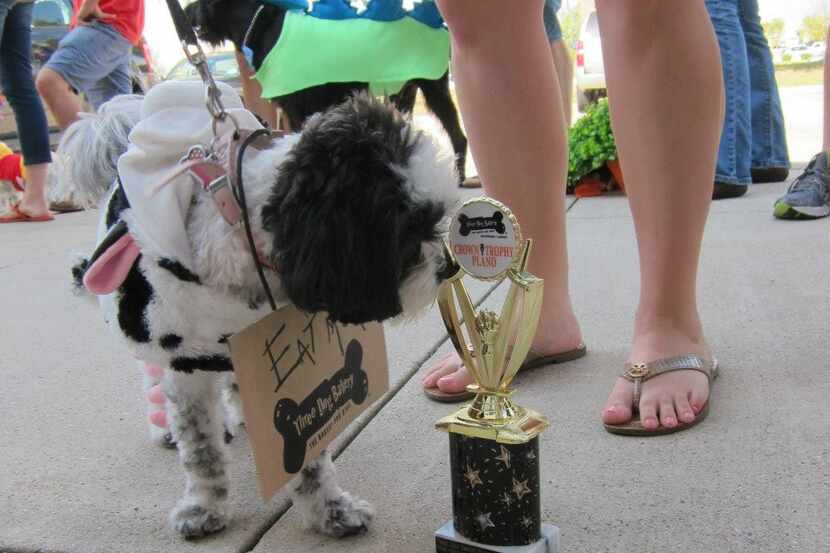 Braylee won for cutest costume during a previous Howl-O-Ween at the Three Dog Bakery in Plano.