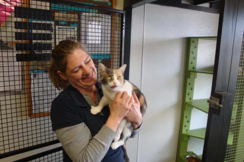 A February visit to Second Chance SPCA found Princess Peach sitting pretty in operations...