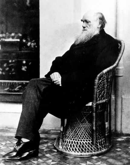 Charles Darwin poses in a wicker chair in 1875. 