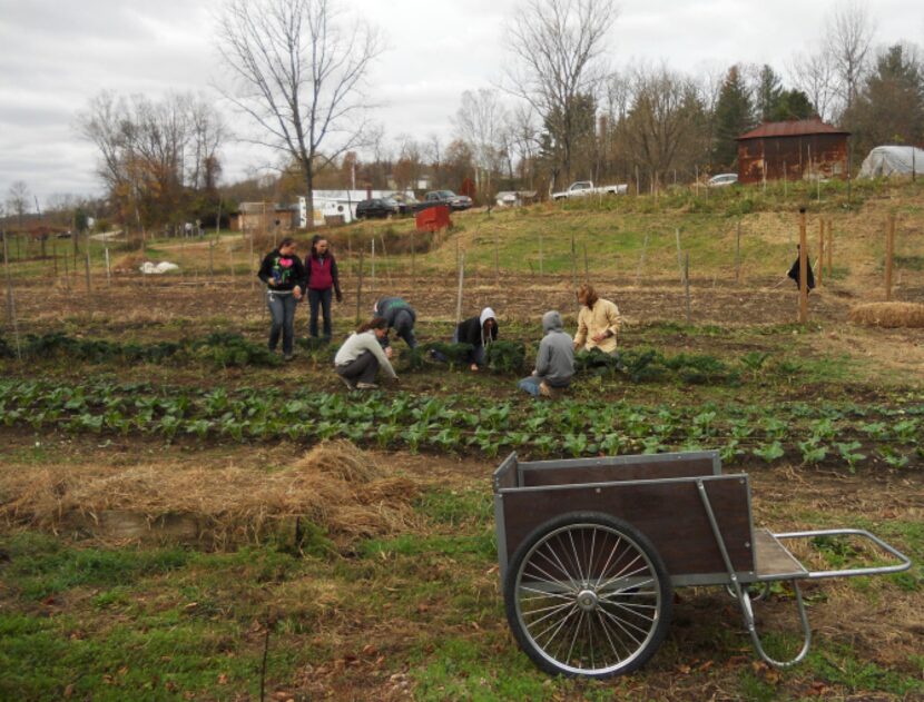 Along the Hockhocking Adena Bikeway volunteers tend vegetables at Good Earth Farm, which...