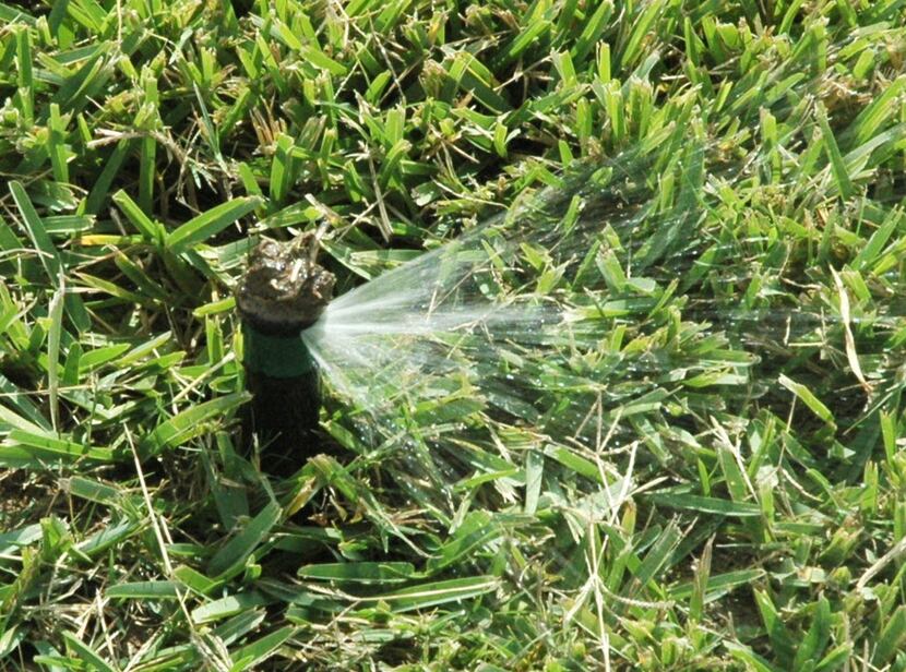 In the winter, shut down your automatic sprinkler system and water only when needed. 