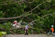 Neighborhood children check out an uprooted tree that's blocking East 15th Street near...