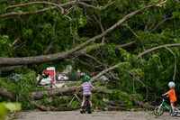 Neighborhood children check out an uprooted tree that's blocking East 15th Street near...
