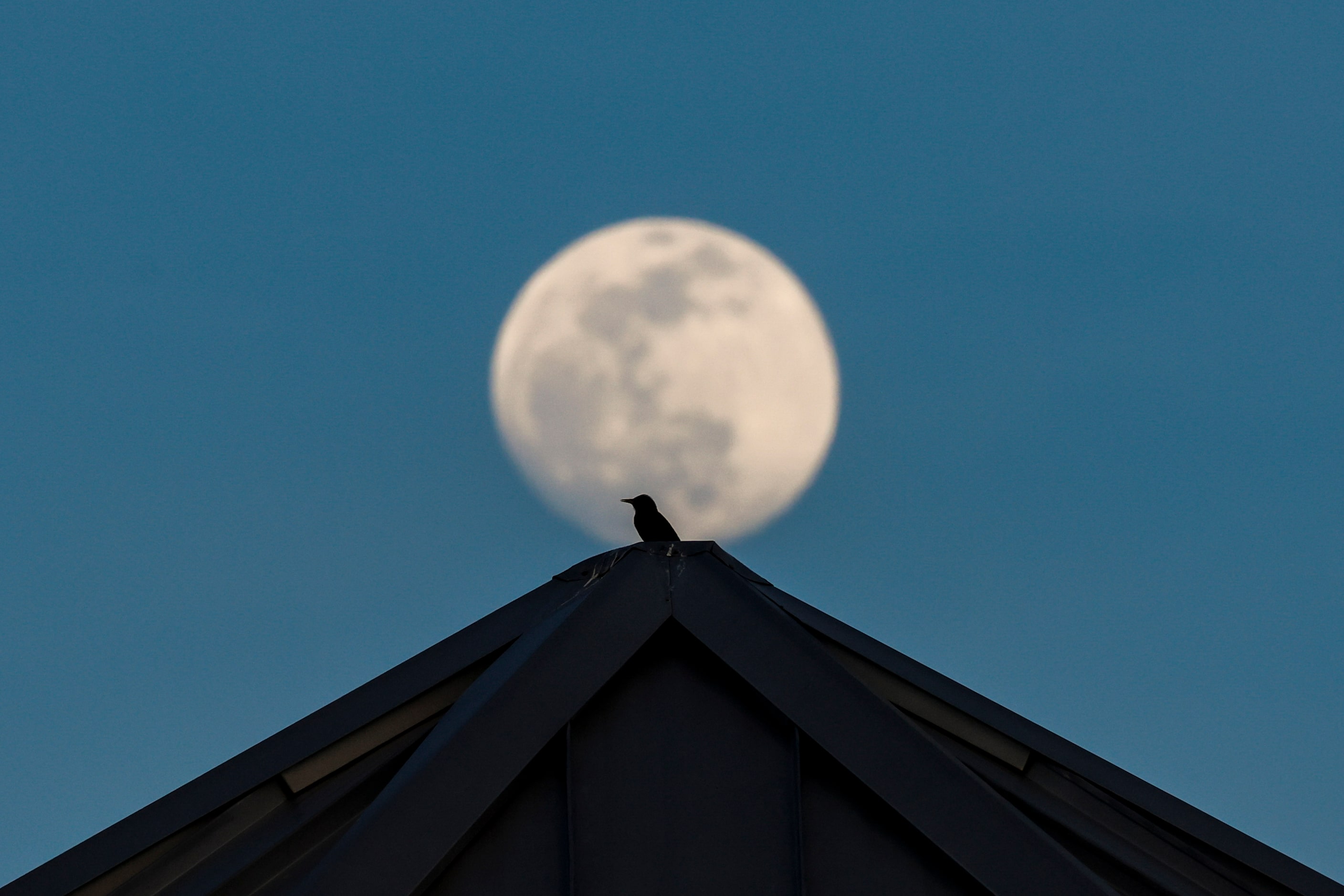 A 97.2% moon rises behind the stands of Riders Field on Wednesday, May 3, 2023 in Frisco.