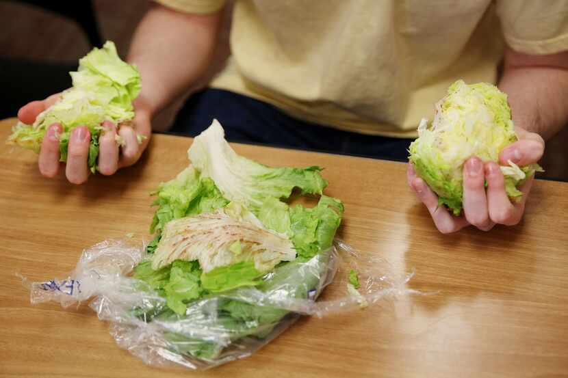 Lechuga romana es un ingrediente favorito en ensaldas. AP
