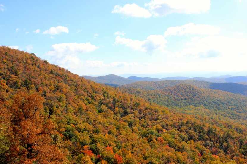 Autumn color in Great Smoky Mountains National Park 