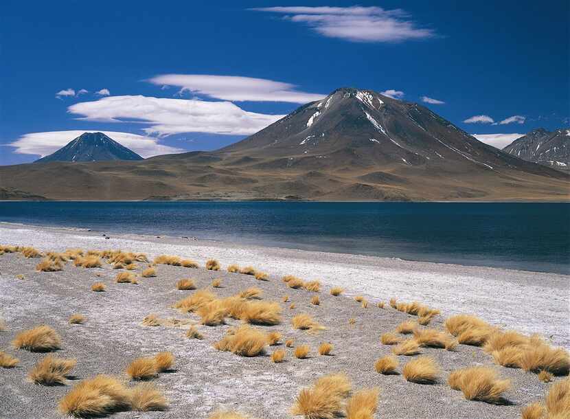 Blue Laguna Cejar is a startling contrast to the Atacama Desert of northern Chile. 