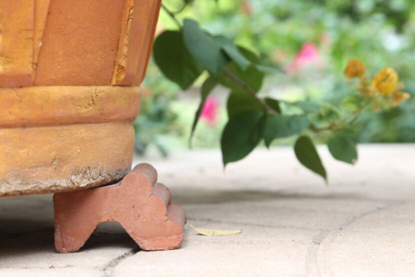"Pot Feet" help keep large pots of bougainvilleas off the ground at the home of Nancy...