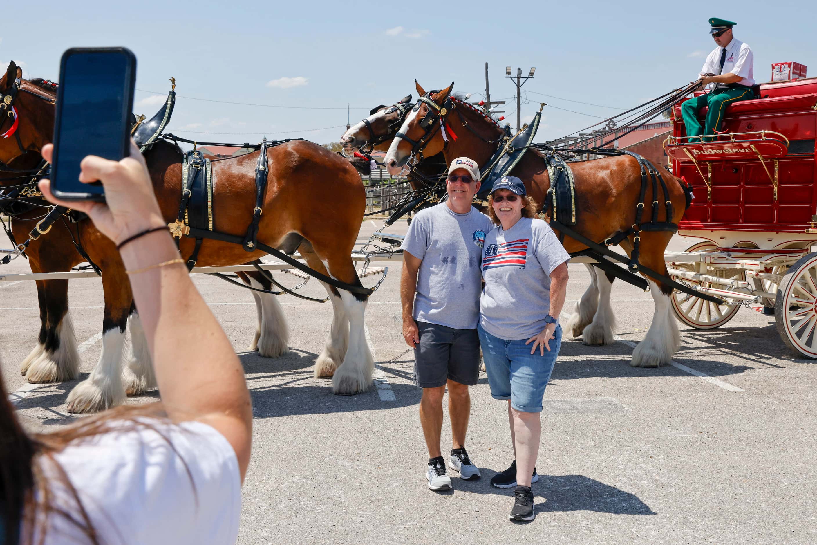 Paul and Patty Dula of Saginaw pose for a photo with the Budweiser Clydesdales in The...