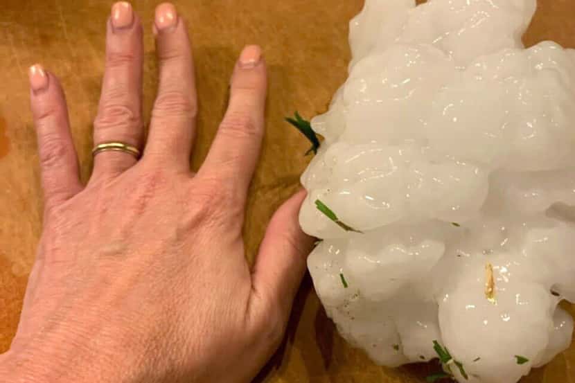 Gina Brown said this hailstone, about 5.5 inches, fell in her front yard in Salado on...